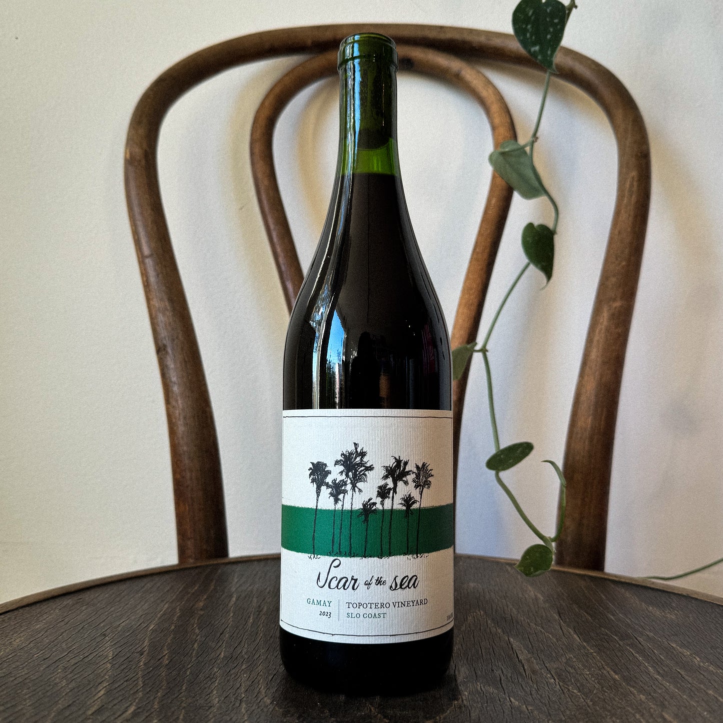 Scar of the Sea Gamay 2023