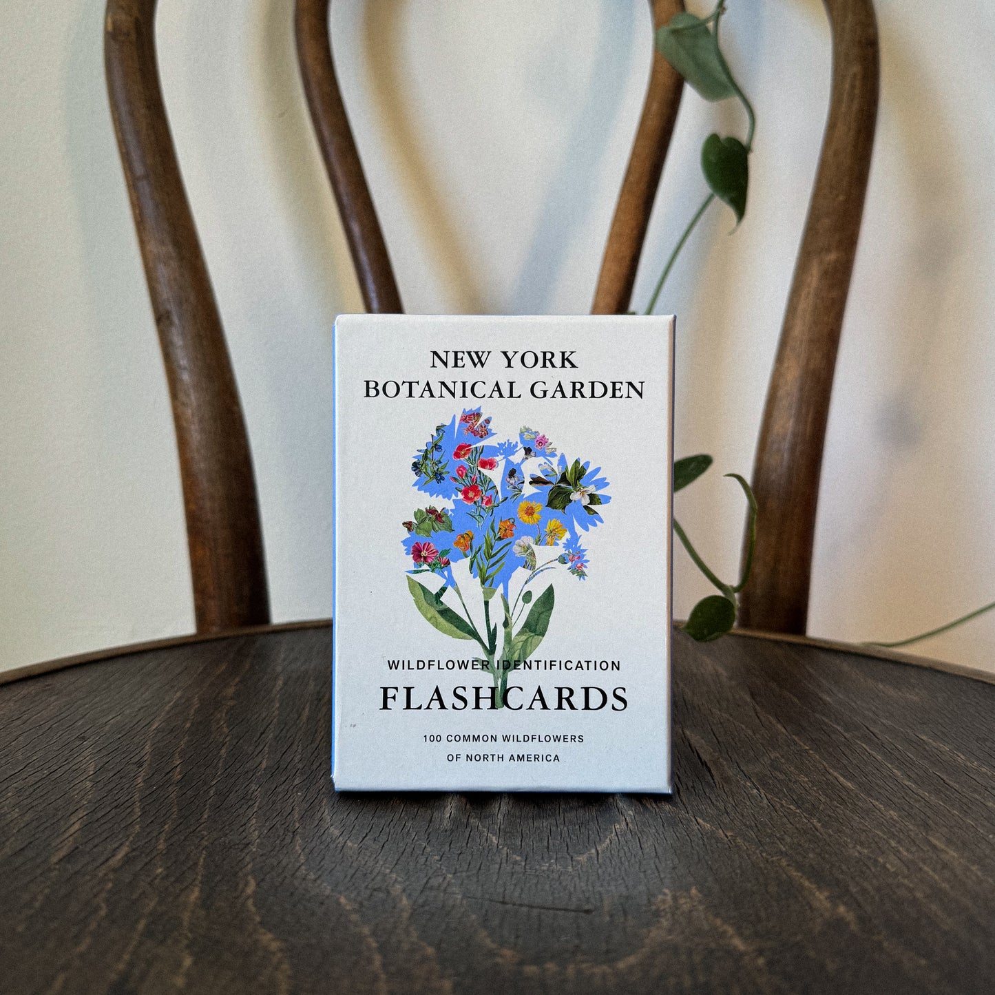 New York Botanical Garden Wildflower Identification Flashcards