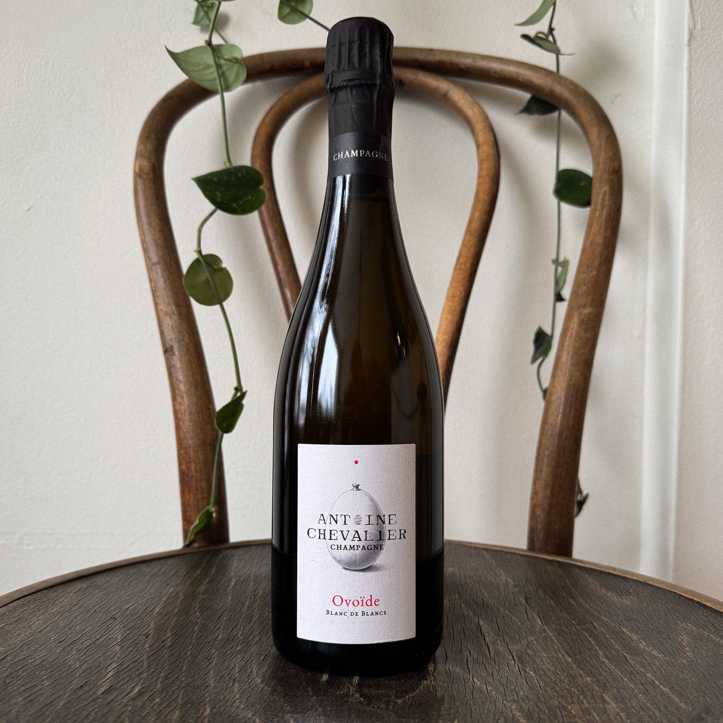 Antoine Chevalier Ovoide Blanc de Blancs 2022 NV